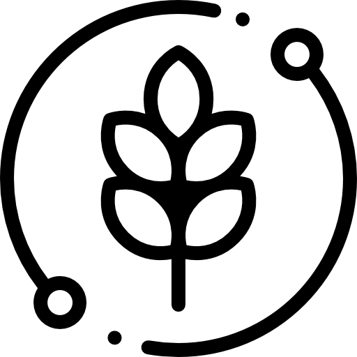 Seguros para Agronegócios