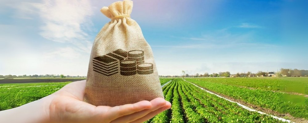 Seguros para Agronegócios